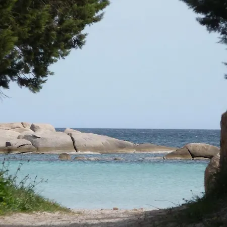 Rdc Alzetu Climatise - 2 Min - Piscine * Lecci