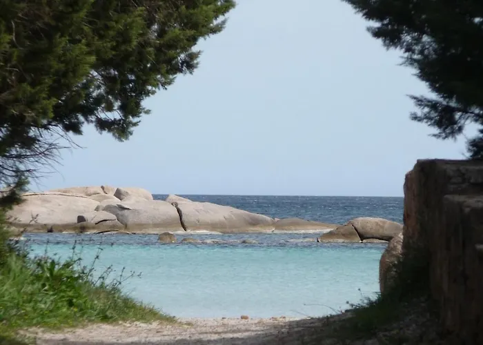 Rez De Jardin Climatise - 2 Min - Piscine * Lecci